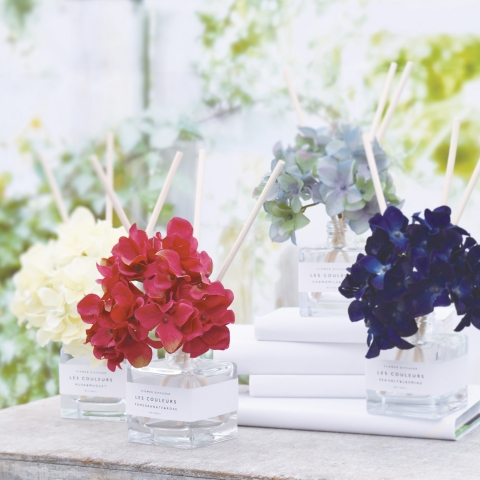 LES COULEURS – Flower Diffuser