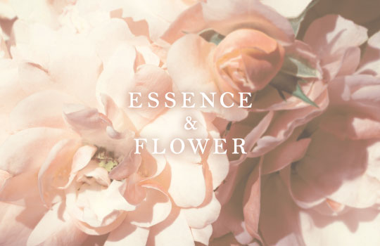 Essence & Flower